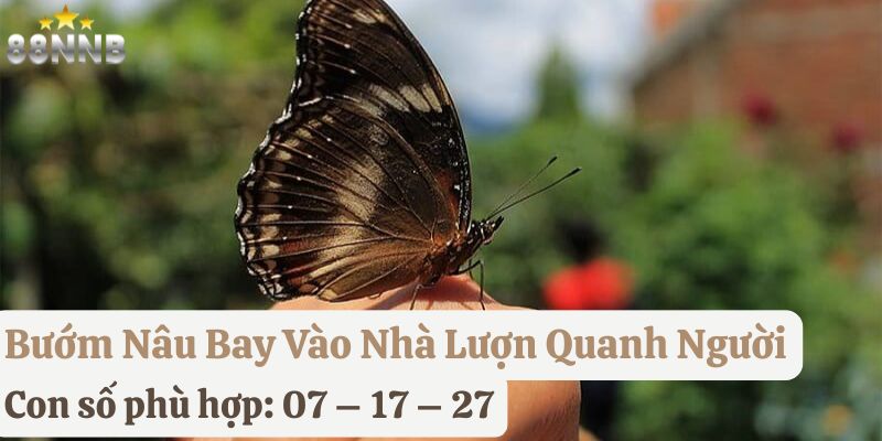 bướm nâu bay vào nhà đánh con gì 88nn