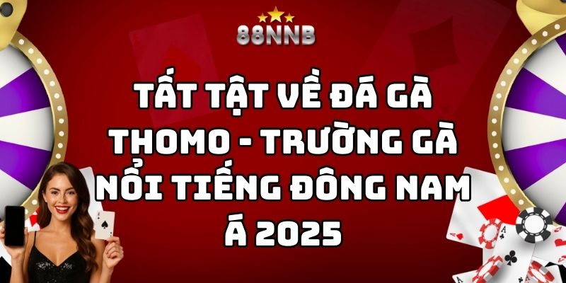 đá gà thomo 88nn thumb