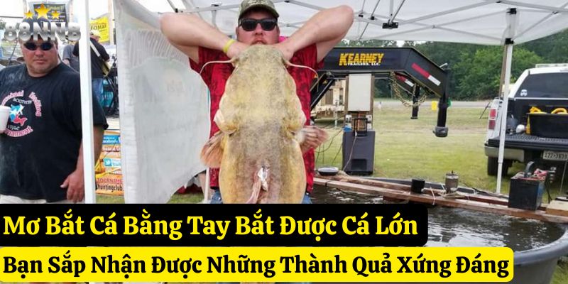 mơ bắt cá bằng tay đánh con gì 88nn