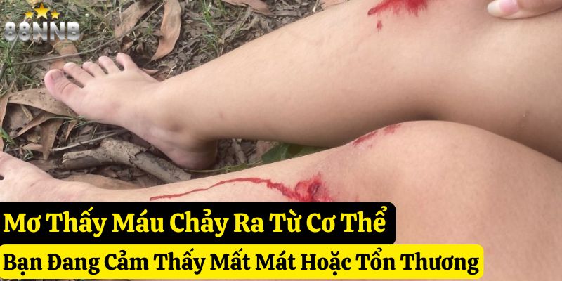 mơ thấy máu 88nn