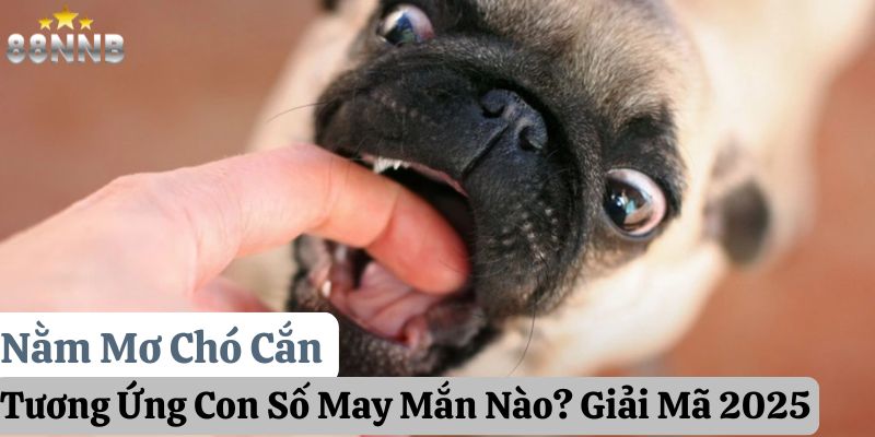 nằm mơ chó cắn 88nn thumb