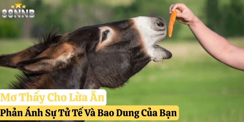 nằm mơ lừa