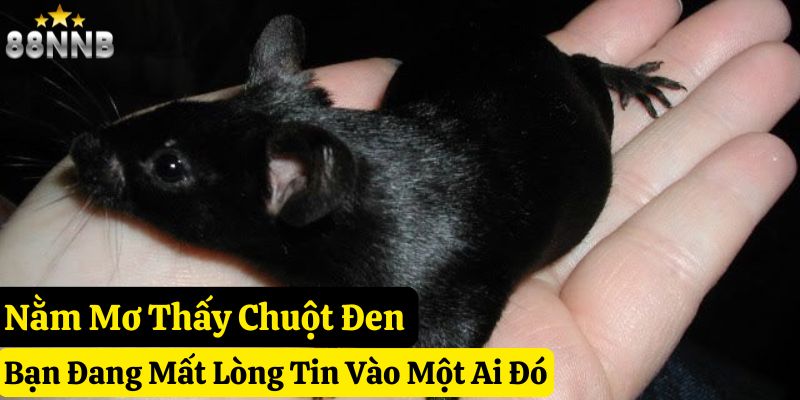 nằm mơ thấy chuột 88nn