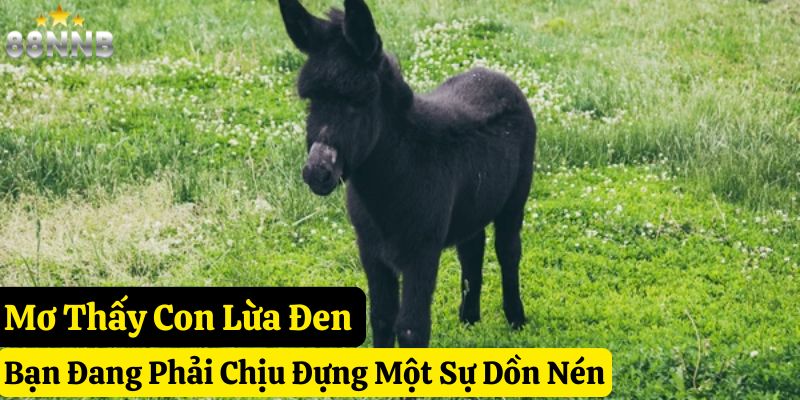 nằm mơ thấy lừa 88nn