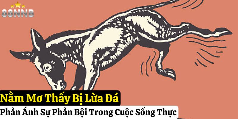 nằm mơ thấy lừa