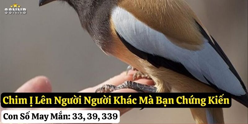 chim ị lên người 88nn