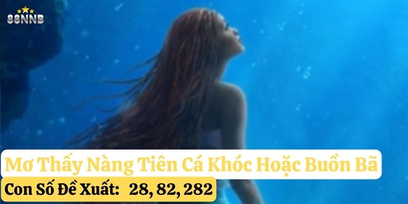 mơ thấy nàng tiên cá 88nn