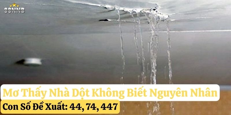 mơ thấy nhà dột 88nn