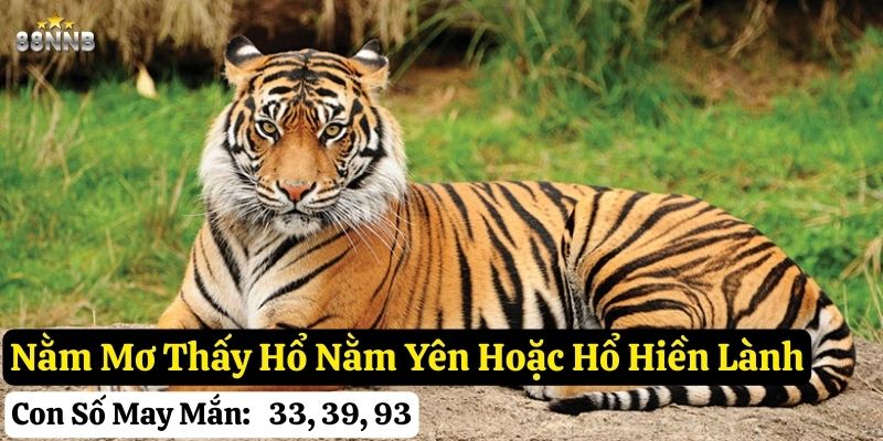 nằm mơ thấy hổ