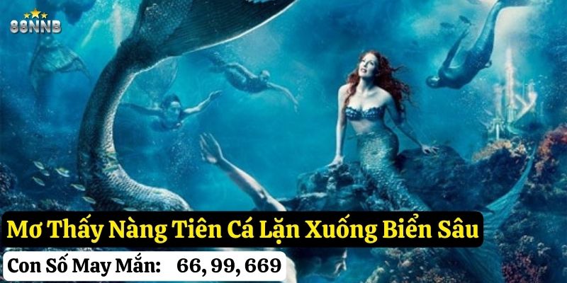 mơ thấy nàng tiên cá