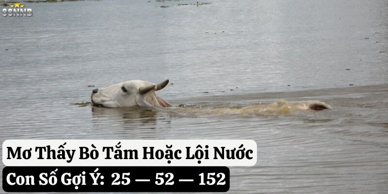 nằm mơ thấy bò