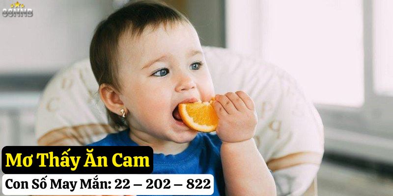 nằm mơ thấy quả cam