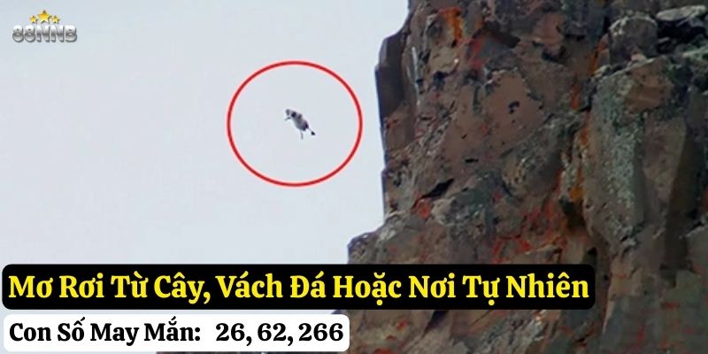 mơ thấy rơi từ trên cao