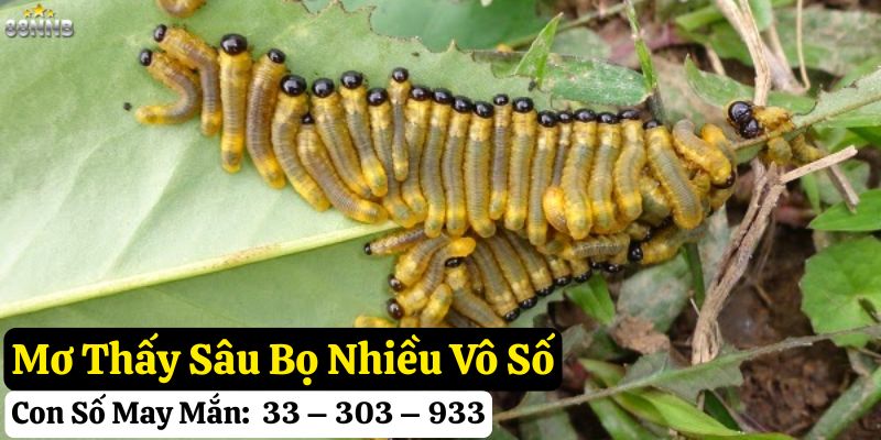nằm mơ thấy sâu bọ