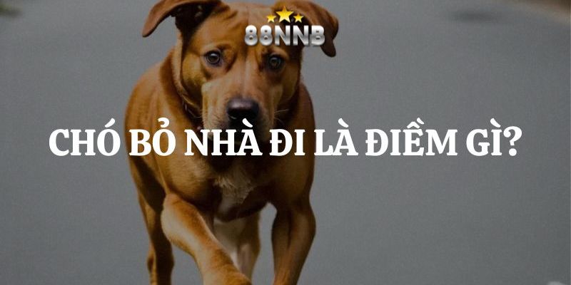 chó bỏ nhà đi 88nn thumb