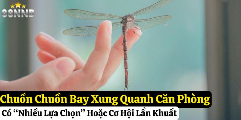 chuồn chuồn bay vào nhà