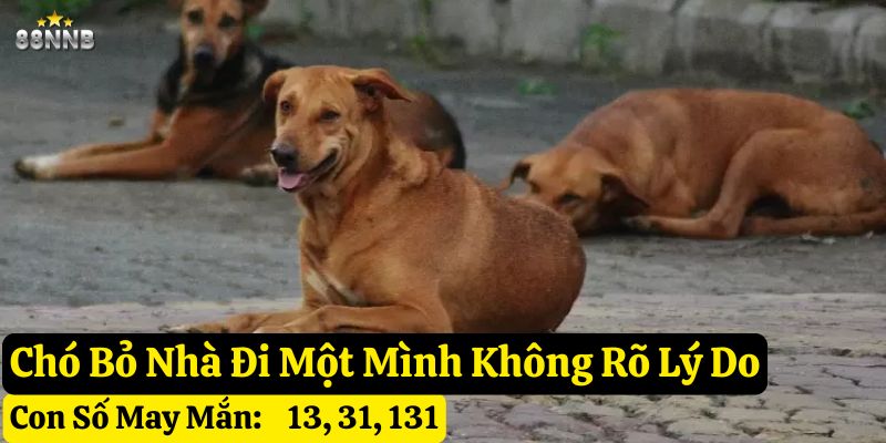 thấy chó bỏ nhà đi