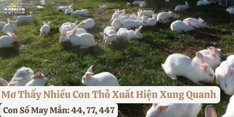 nằm mơ thấy con thỏ