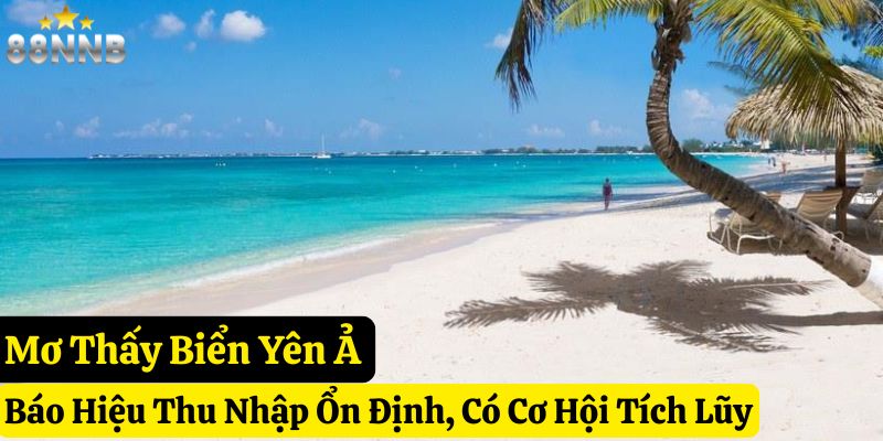 mơ thấy biển đánh số gì 88nn
