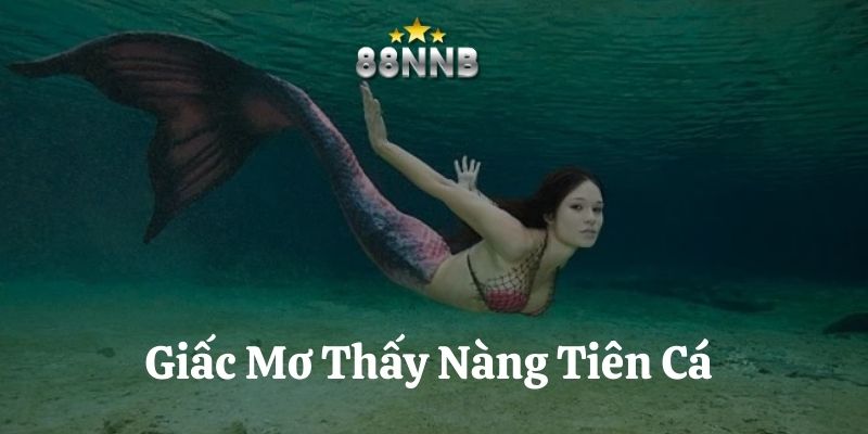 mơ thấy nàng tiên cá 88nn thumb