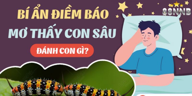 mơ thấy sâu bọ 88nn thumb
