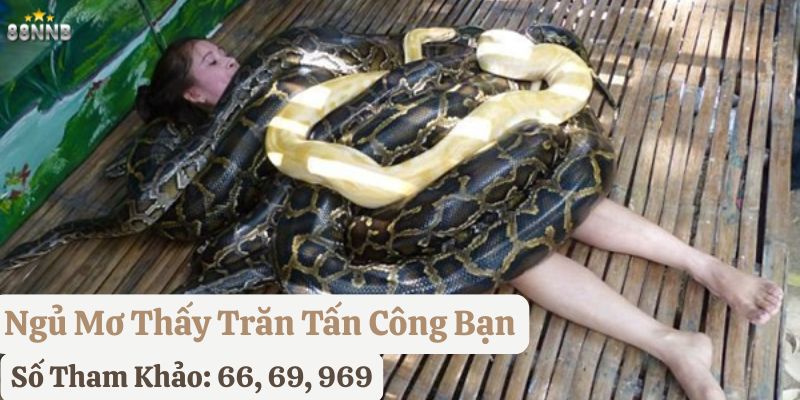 nằm mơ thấy trăn