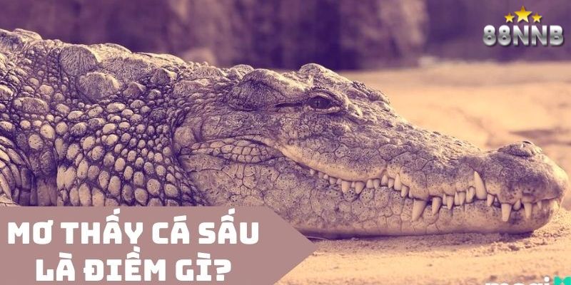 nằm mơ thấy cá sấu 8nn thumb