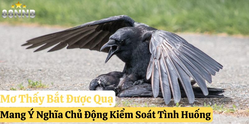 nằm mơ thấy quạ