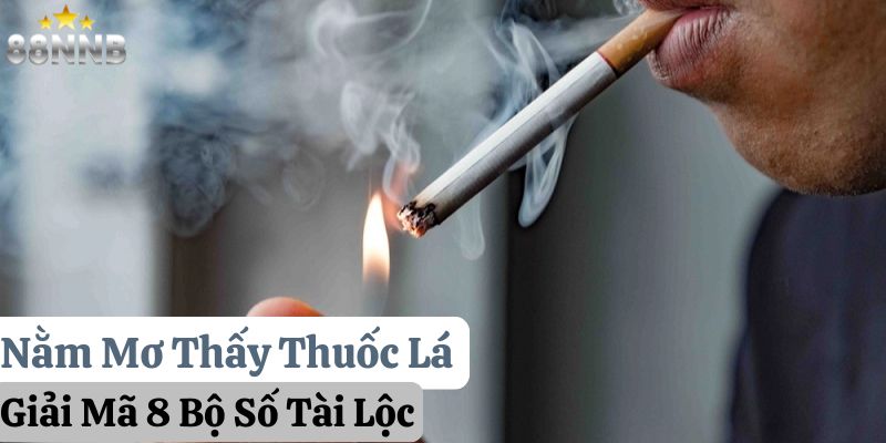 nằm mơ thấy thuốc lá 88nn thumb