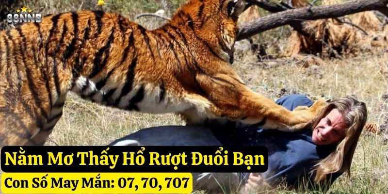 ngủ mơ thấy hổ