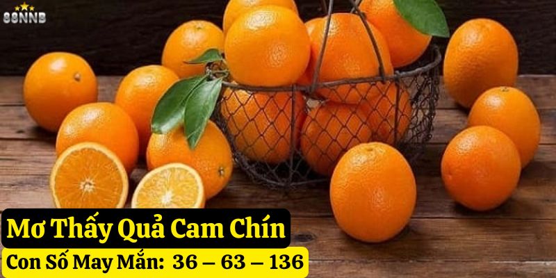 mơ quả cam