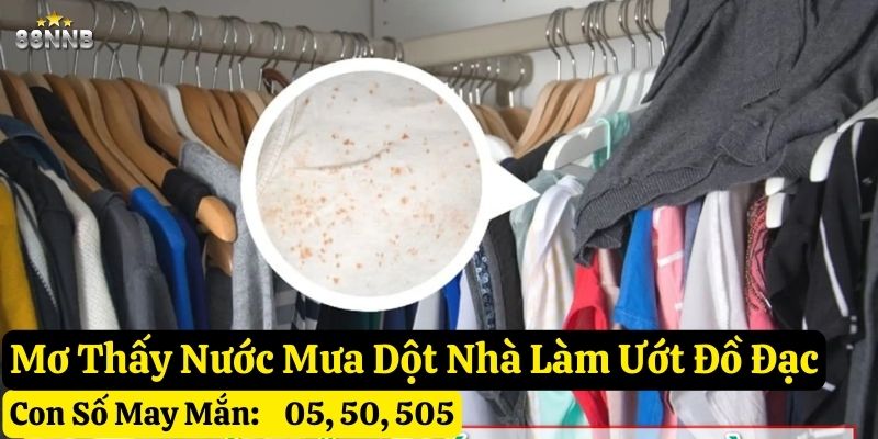 nằm mơ thấy nhà dột
