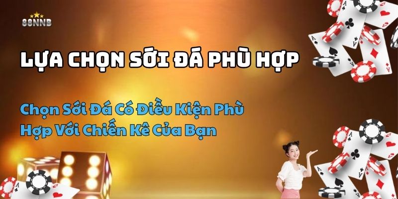 kinh nghiệm chơi đá gà