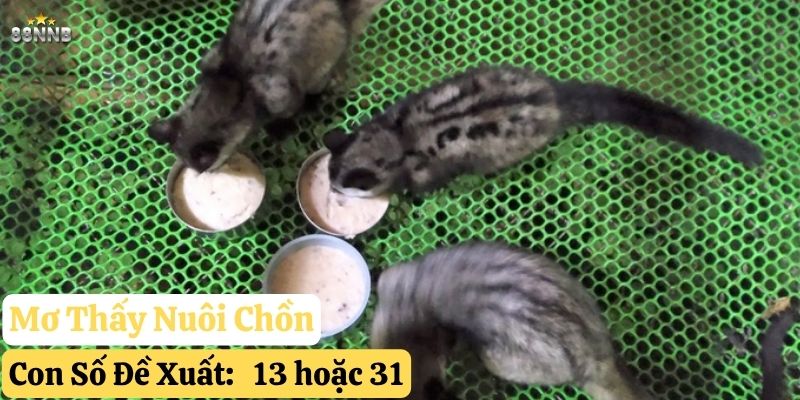 mơ thấy con chồn