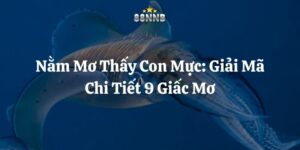 nằm mơ thấy con mực 88nn thumb